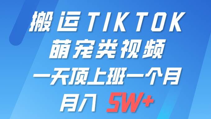 一键搬运TIKTOK萌宠类视频 一部手机即可操作 所有平台均可发布 轻松月入5W+-舒阳传媒网