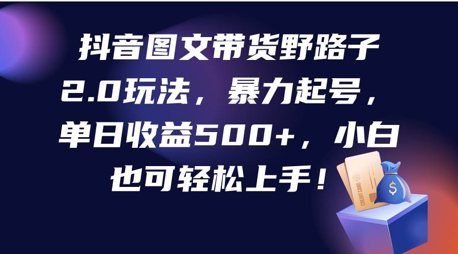 抖音图文带货野路子2.0玩法，暴力起号，单日收益500+，小白也可轻松上手！-舒阳传媒网