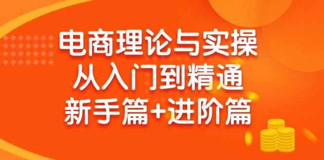 电商理论与实操从入门到精通 新手篇+进阶篇-舒阳传媒网