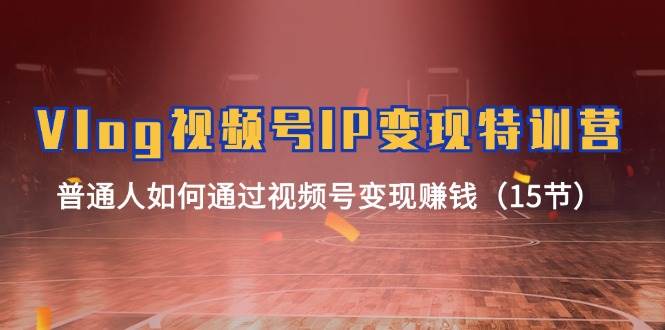 Vlog 视频号IP变现特训营，普通人如何通过视频号变现赚钱（15节）-舒阳传媒网
