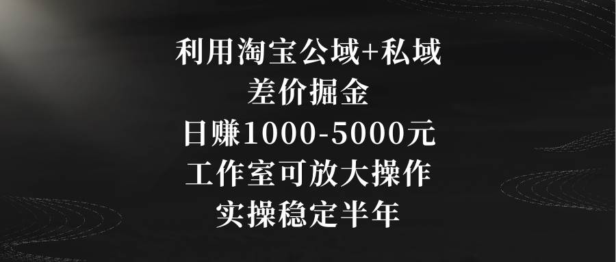 利用淘宝公域+私域差价掘金，日赚1000-5000元，工作室可放大操作，实操…-舒阳传媒网
