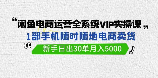 闲鱼电商运营全系统VIP实战课，1部手机随时随地卖货，新手日出30单月入5000-舒阳传媒网