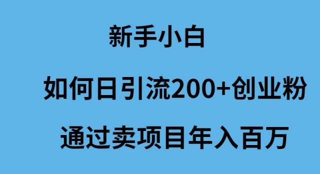 新手小白如何日引流200+创业粉通过卖项目年入百万-舒阳传媒网