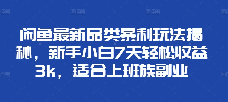 闲鱼最新品类暴利玩法揭秘，新手小白7天轻松赚3000+，适合上班族副业-舒阳传媒网