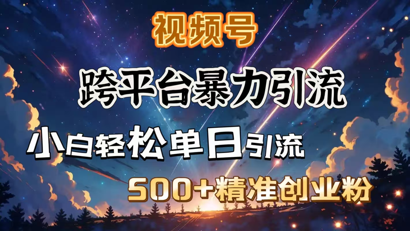 视频号跨平台暴力引流，小白轻松单日引流500＋精准创业粉-舒阳传媒网