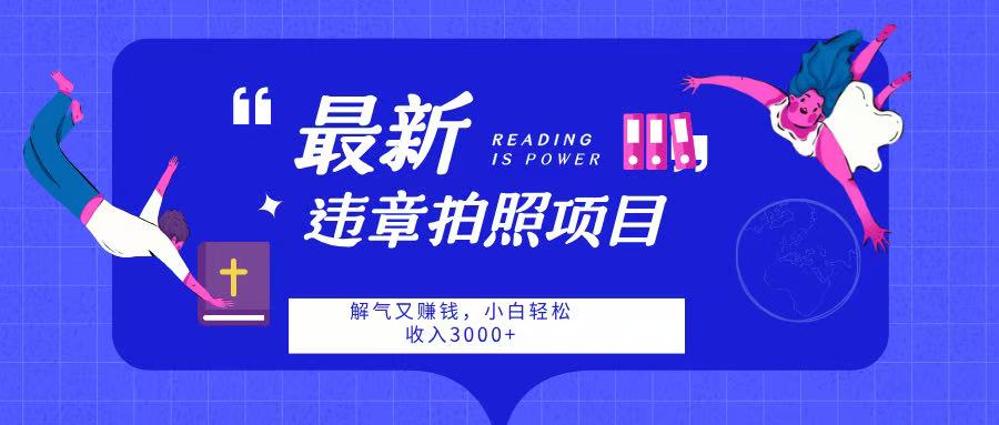 最新违章拍照项目，解气又赚钱，随手一拍，轻松收入3000-舒阳传媒网