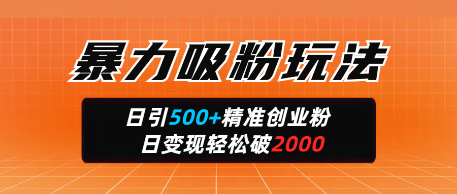 暴力吸粉玩法，日引500+精准创业粉，日变现轻松破2000-舒阳传媒网