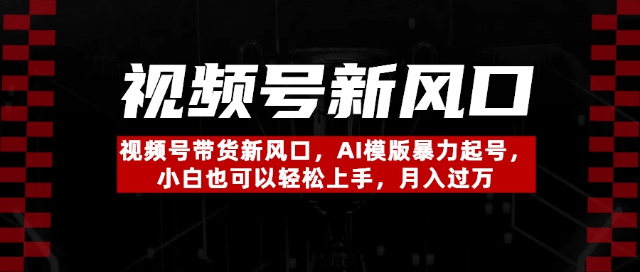 视频号带货新风口，AI模版暴力起号，小白也可以轻松上手，月入过万-舒阳传媒网