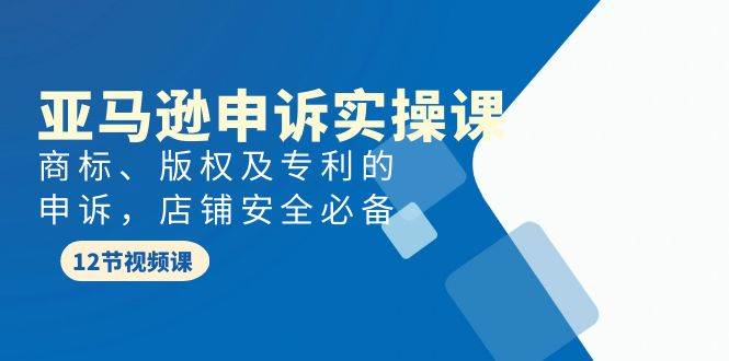 图片[1]-亚马逊-申诉实战课，商标、版权及专利的申诉，店铺安全必备-舒阳传媒网