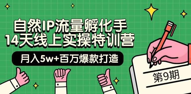 图片[1]-自然IP流量孵化手 14天线上实操特训营【第9期】月入5w+百万爆款打造 (74节)-舒阳传媒网