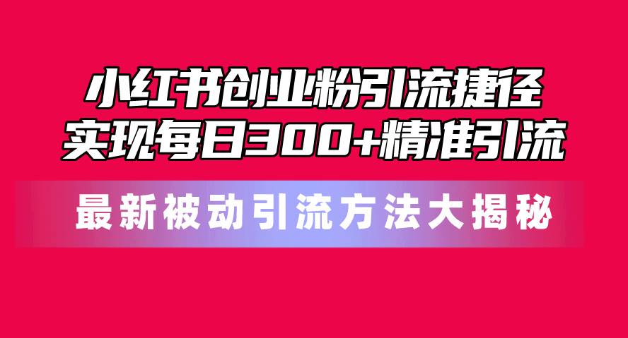 图片[1]-小红书创业粉引流捷径！最新被动引流方法大揭秘，实现每日300+精准引流-舒阳传媒网