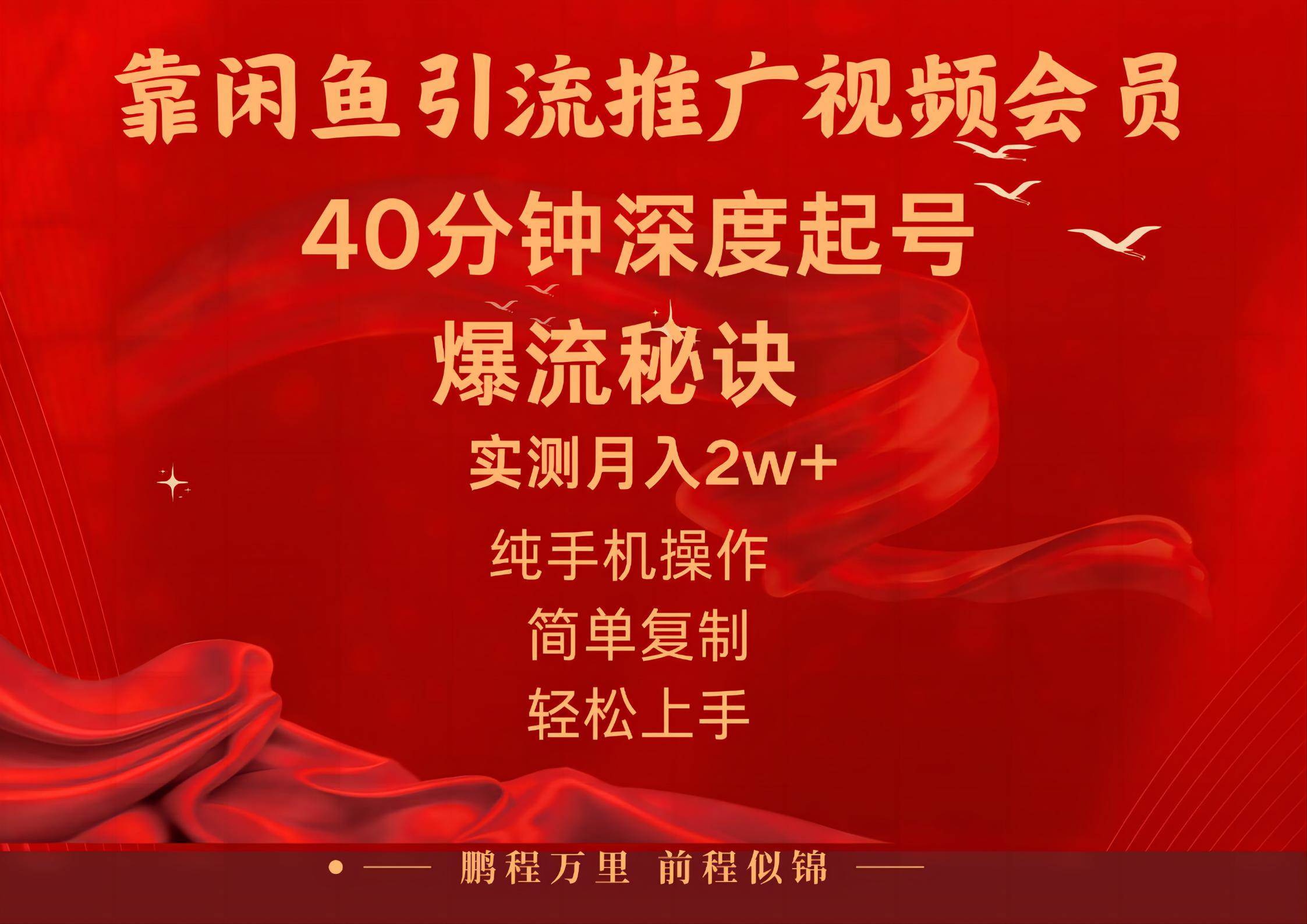 闲鱼暴力引流推广视频会员，能做到日入2W+，操作简单-舒阳传媒网