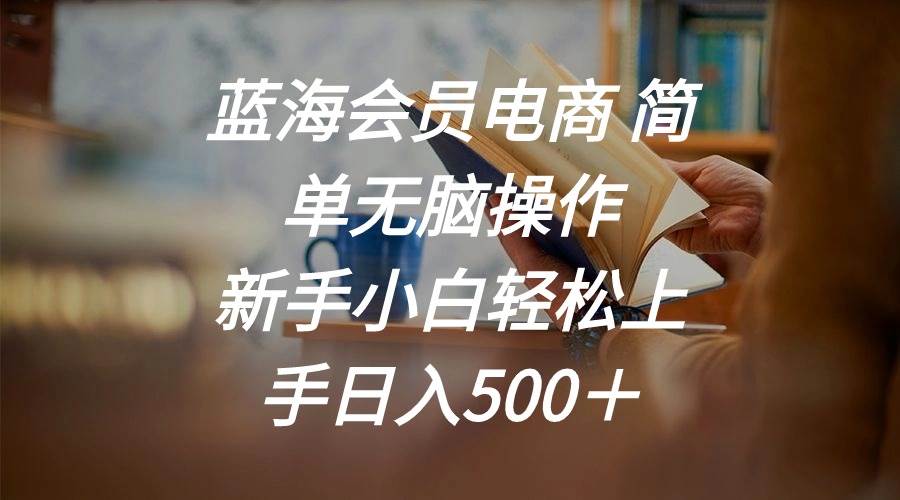 蓝海会员电商 简单无脑操作 新手小白轻松上手日入500＋-舒阳传媒网