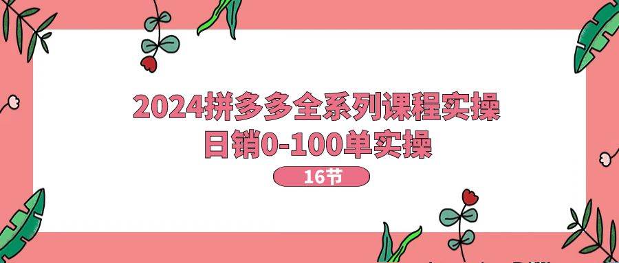 2024拼多多全系列课程实操，日销0-100单实操【16节课】-舒阳传媒网