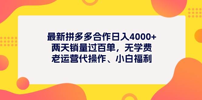 最新拼多多项目日入4000+两天销量过百单，无学费、老运营代操作、小白福利-舒阳传媒网