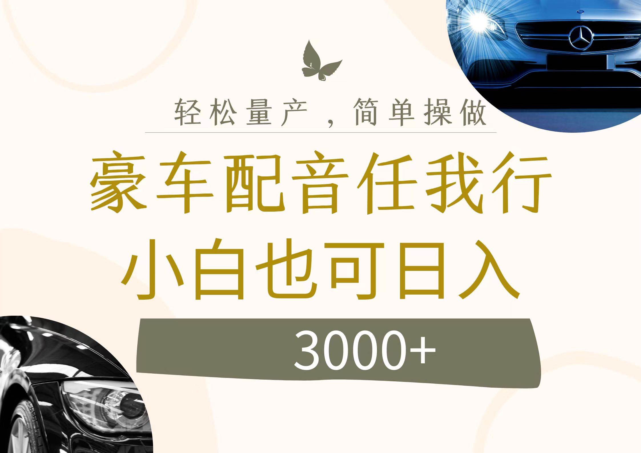 不为人知的暴力小项目，豪车配音，日入3000+-舒阳传媒网