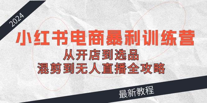 2024小红书电商暴利训练营：从开店到选品，混剪到无人直播全攻略-舒阳传媒网